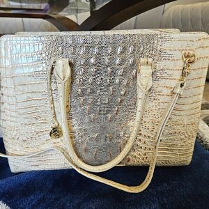 Iguana large brahmin finley caryall